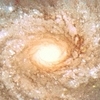 Spiral Galaxy NGC 3982