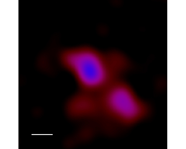This image depicts the X-ray emission from dwarf galaxy J1329+3234 (centre in this image), and from a background AGN (lower right), measured by XMM-Newton in June 2013.
