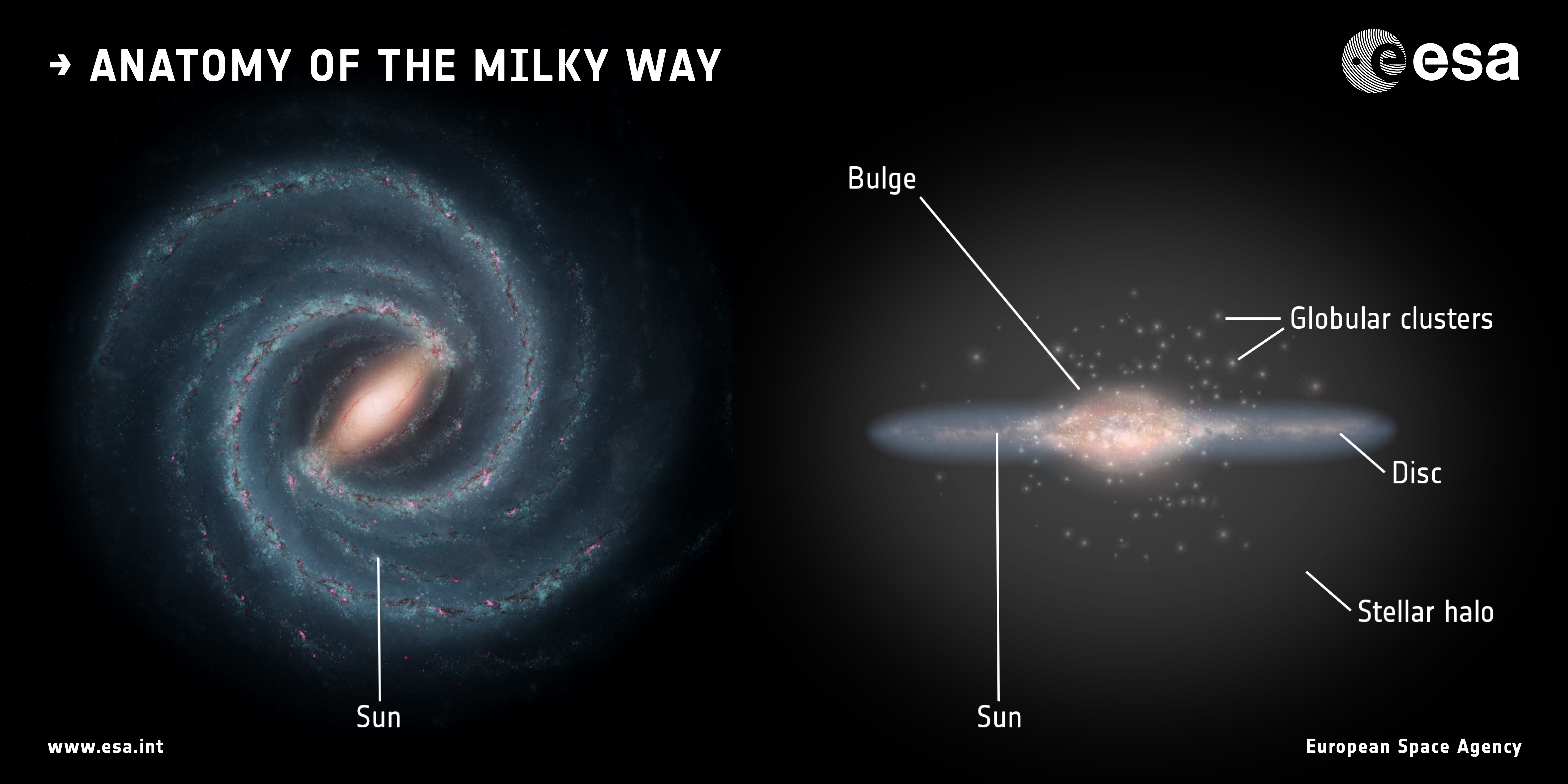 Esa Science Technology Anatomy Of The Milky Way